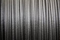 Profi-Filaments PET-G  CARBON 1,75 mm / 1 kg