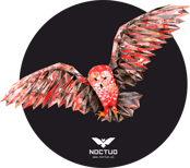 NOCTUO