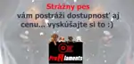 Strážny pes